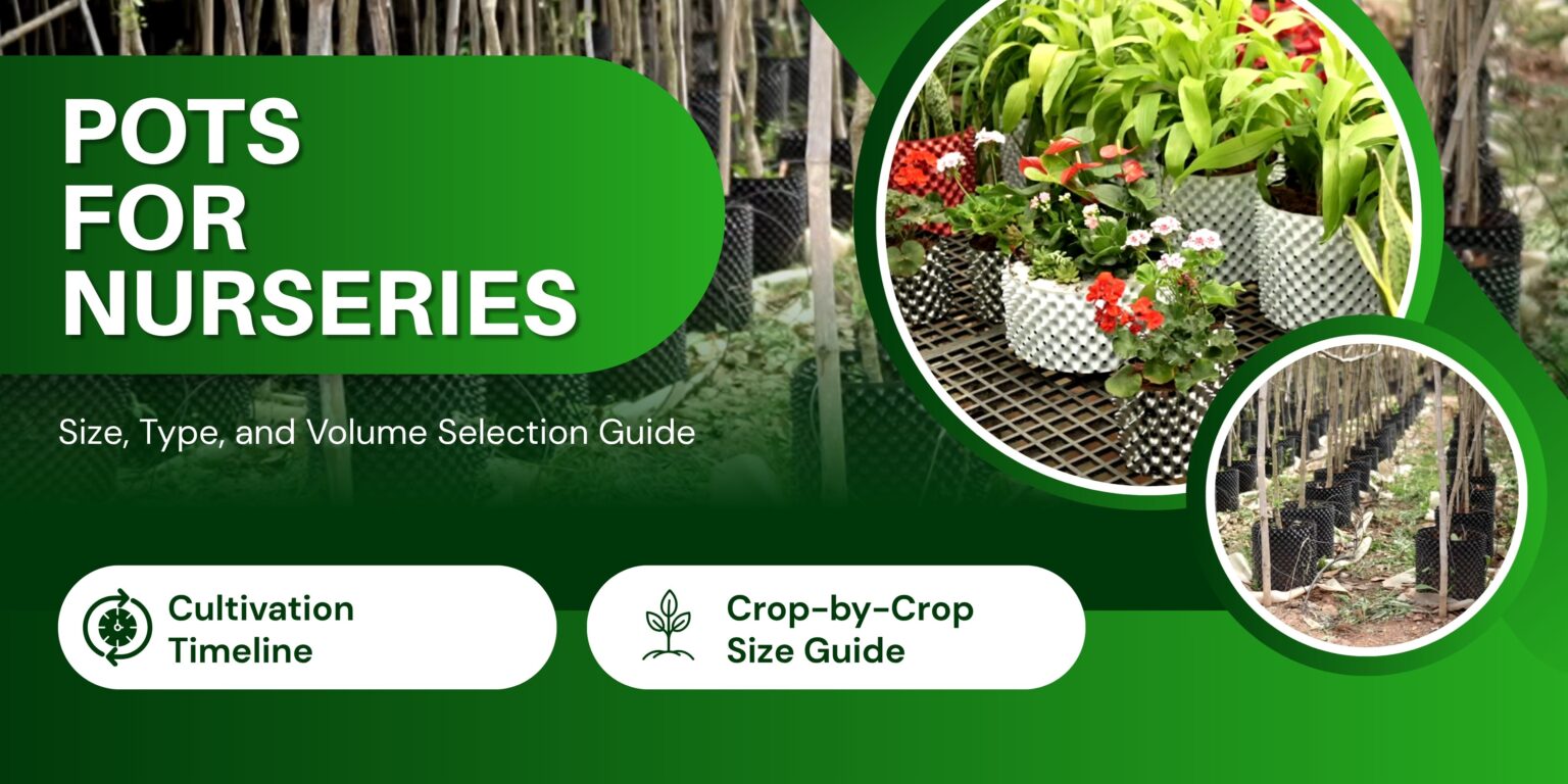 Nursery Pots for Large-Scale Operations: Size, Type, and Volume Selection Guide 2 Pots for nurseries -Nursery Pots