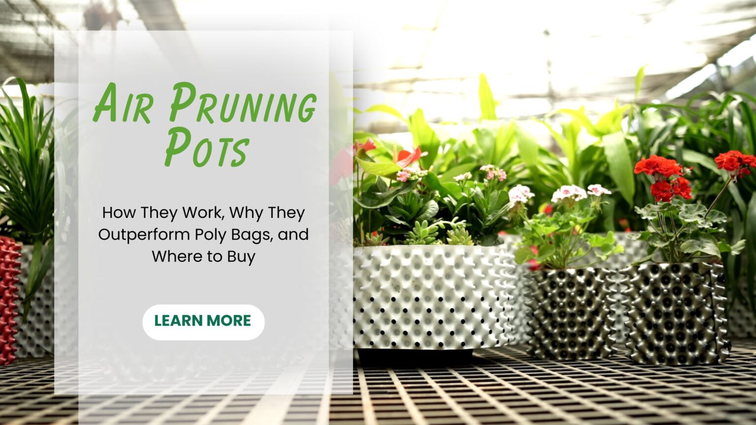 Air Pruning Pots
