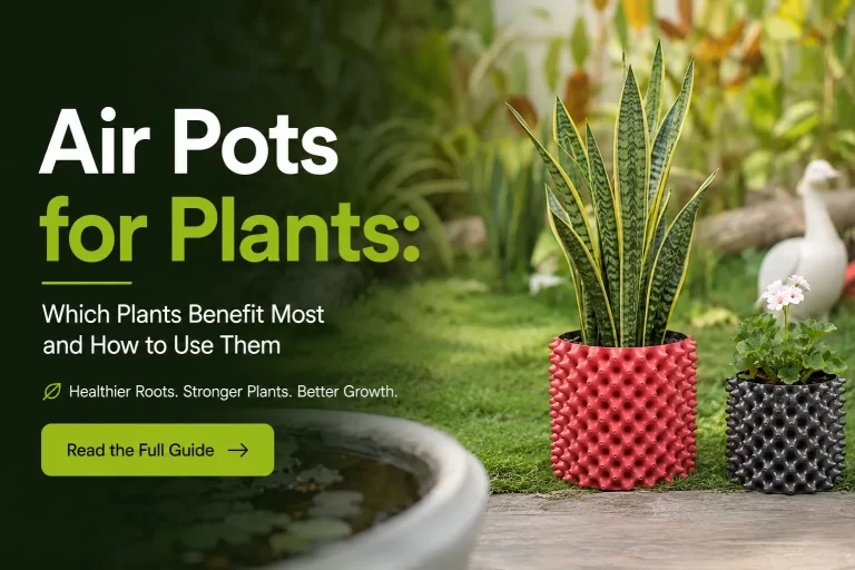 Air pots for plants