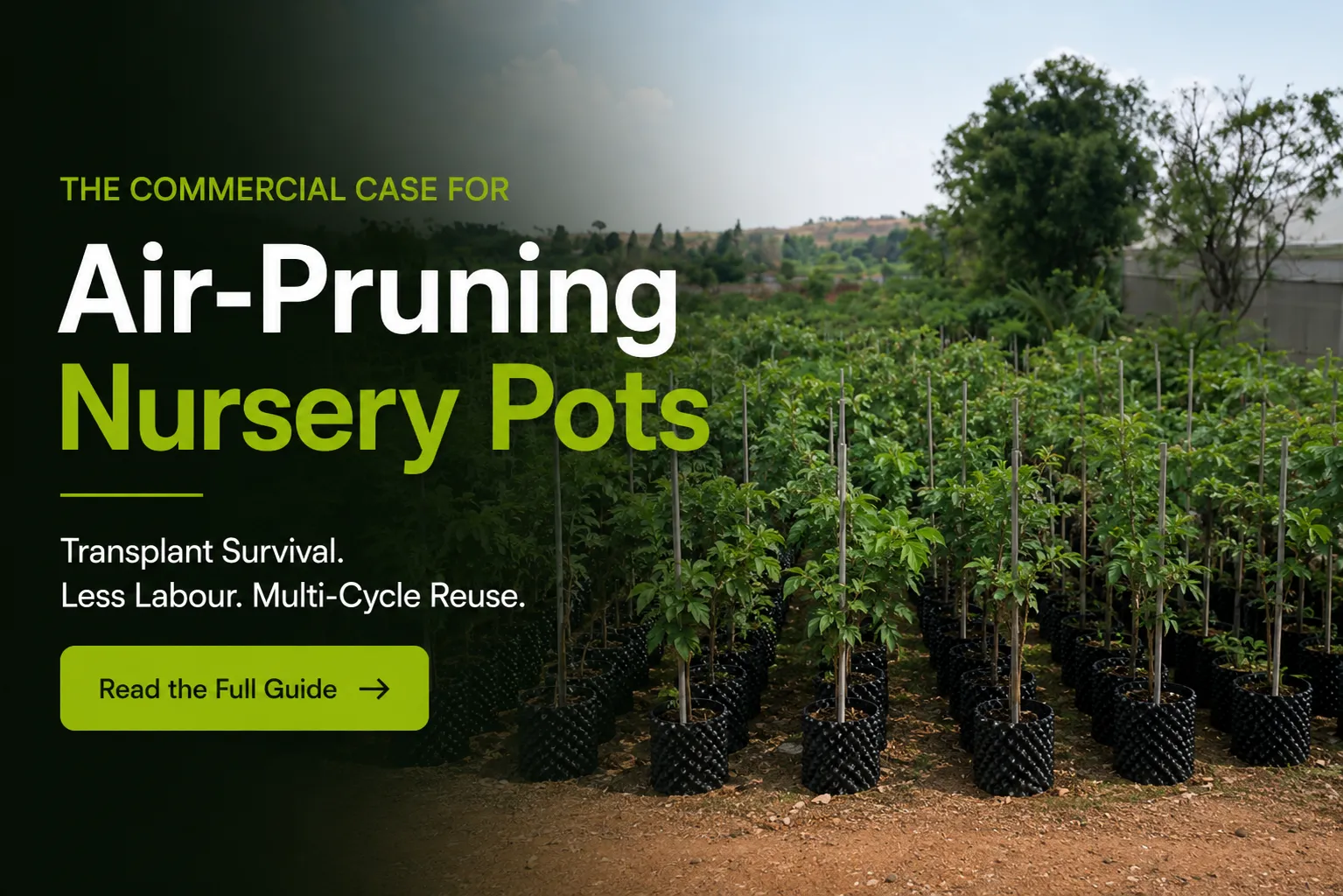 nursery pots